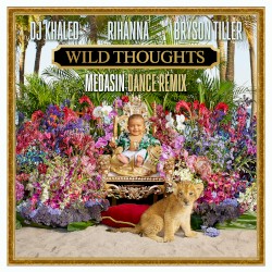 Wild Thoughts (Medasin dance remix)