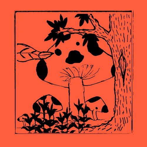 A Night of Wondering in the Garden