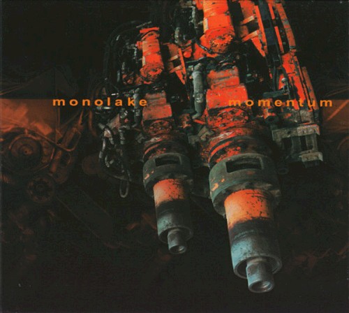 Momentum