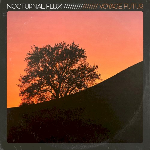 Nocturnal Flux
