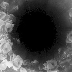 Antimatter 3