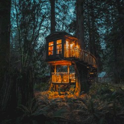 Treehouses