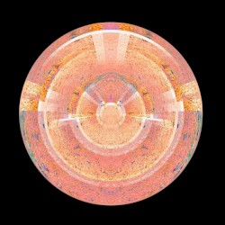 Co.Lab 007