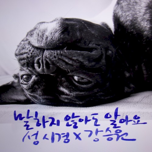 강승원, 이집, PART.7 - 말하지 않아도 알아요 (You Don't Have to Say Anything (I Already Know))
