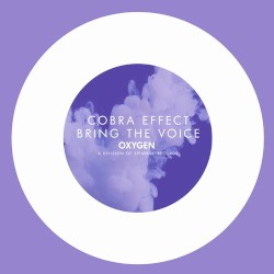 Bring The Voice