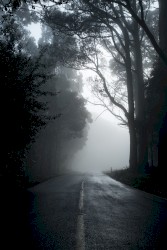 Nocturnes, Volume 10