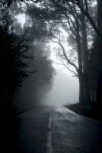 Nocturnes, Volume 10