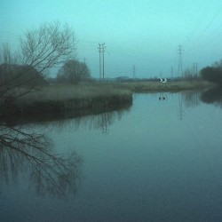 The Wild Grey Blue