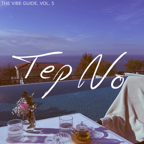 The Vibe Guide, Vol. 5