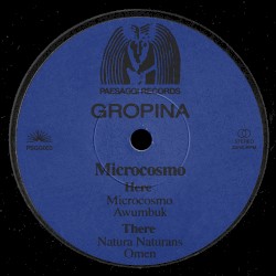 Microcosmo
