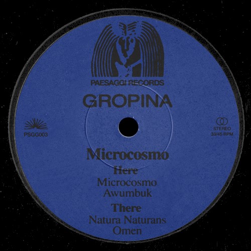 Microcosmo