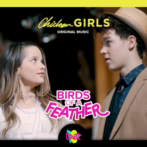 Birds of a Feather