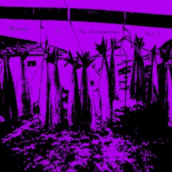 Welcome To The Instrumentals Vol. II