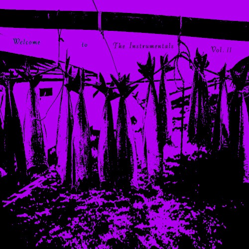 Welcome To The Instrumentals Vol. II