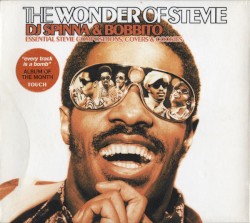 The Wonder of Stevie