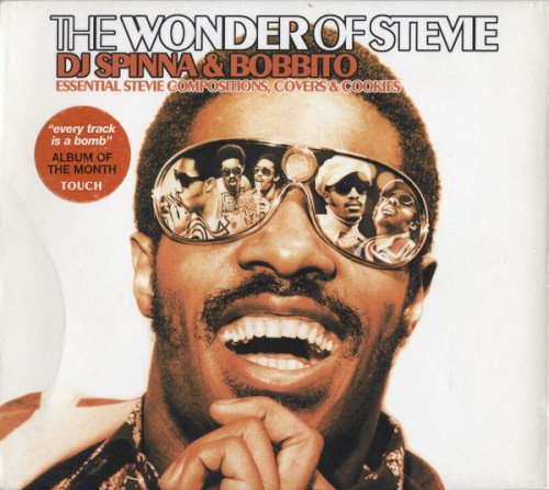 The Wonder of Stevie