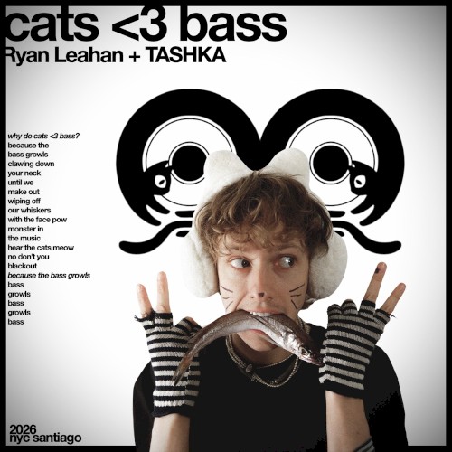 cats <3 bass