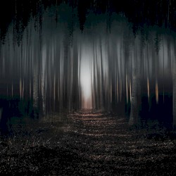 Into a Nightmare