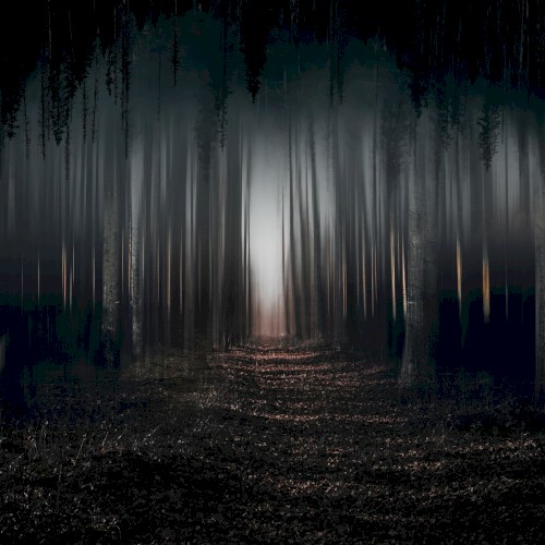 Into a Nightmare