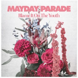 Blame It on the Youth