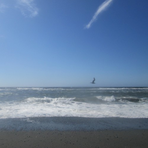 Orick, CA