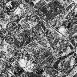 Screen Time