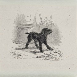 Black Hound