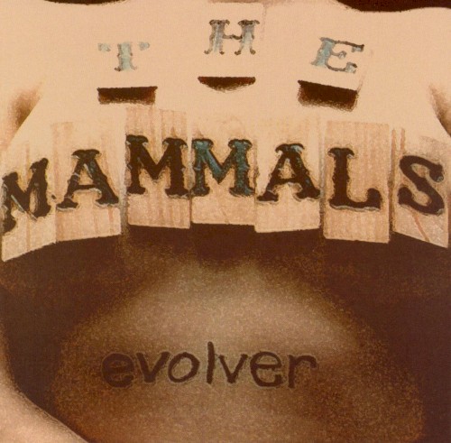 Evolver