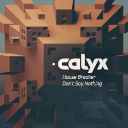 House Breaker / Don’t Say Nothing