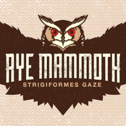 Strigiformes Gaze