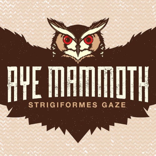 Strigiformes Gaze