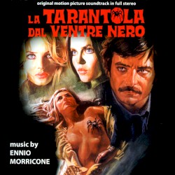 La tarantola dal ventre nero