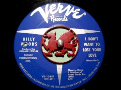 I Don't Want to Lose Your Love / No One to Blame