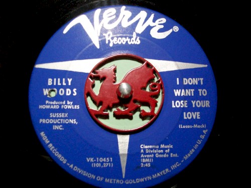 I Don't Want to Lose Your Love / No One to Blame