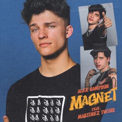 Magnet