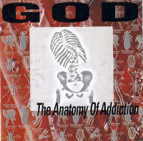 The Anatomy of Addiction