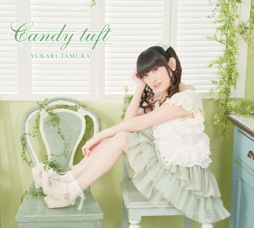 Candy tuft