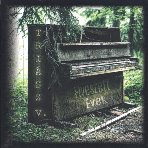 Triász V. - Elveszett évek