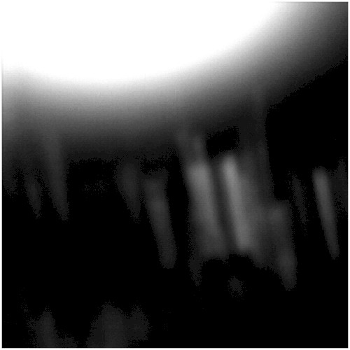 Inundis / Flood