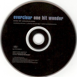 One Hit Wonder
