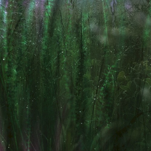petrichor