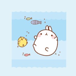 DANCING WITH FISH