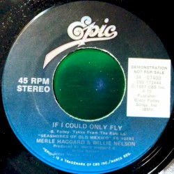 If I Could Only Fly
