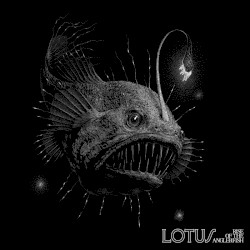 Rise of the Anglerfish