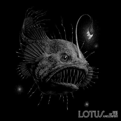 Rise of the Anglerfish