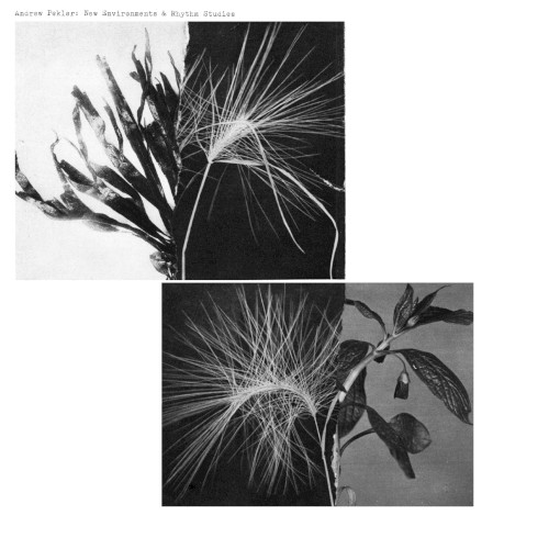 New Environments & Rhythm Studies