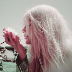 Learn to Let Go (The Remixes)