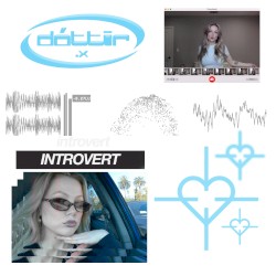introvert