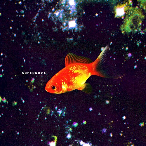 Supernova