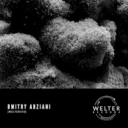 WELTER250
